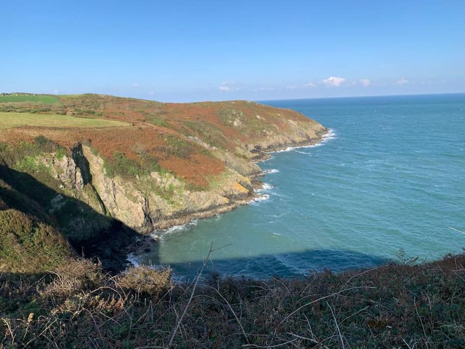 Trefechan Wen Barn Llanwnda  Экстерьер фото