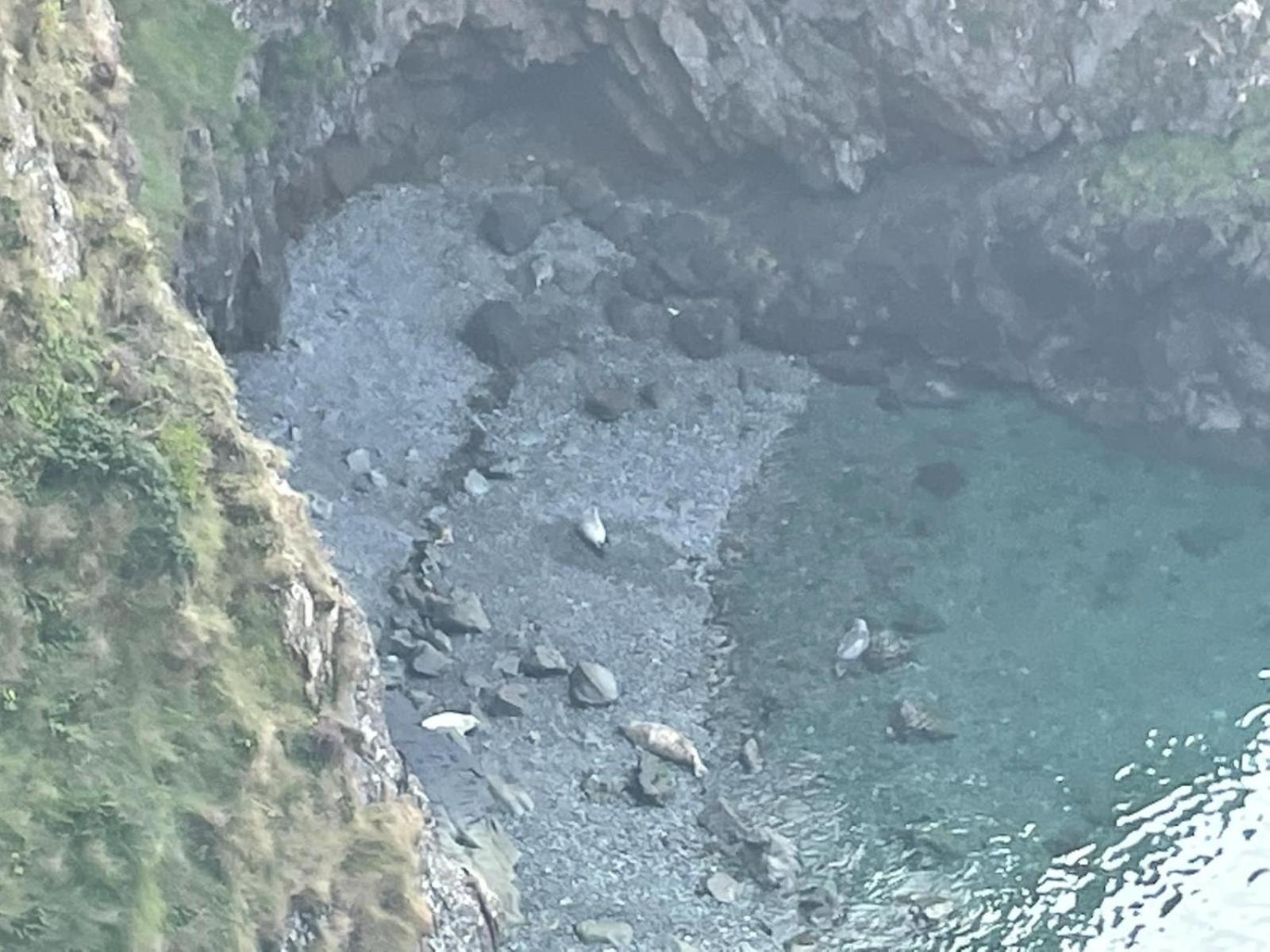 Trefechan Wen Barn Llanwnda  Экстерьер фото